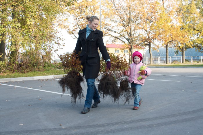 Strādāja gan lieli gan mazi..