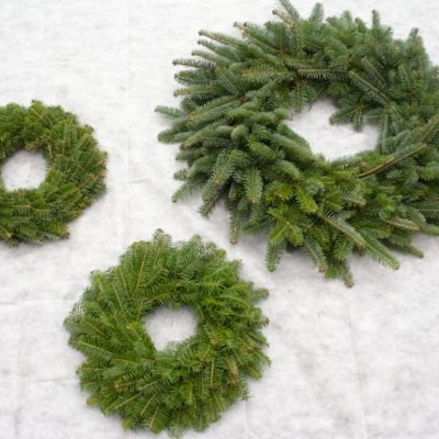 Skujkoku zaru vainaga sagatave, 70 cm