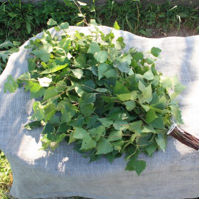 Bērzu zaru pirtsslota