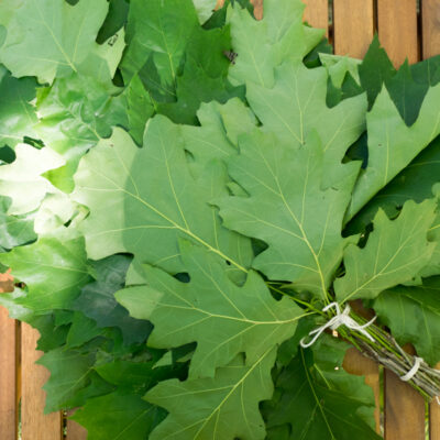 Līgo svētku/Jāņu piedāvājums