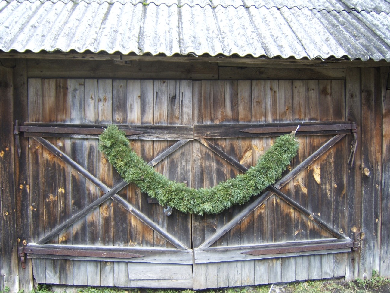 Priežu zaru vītne, abpusēja, 1 m - Image 6