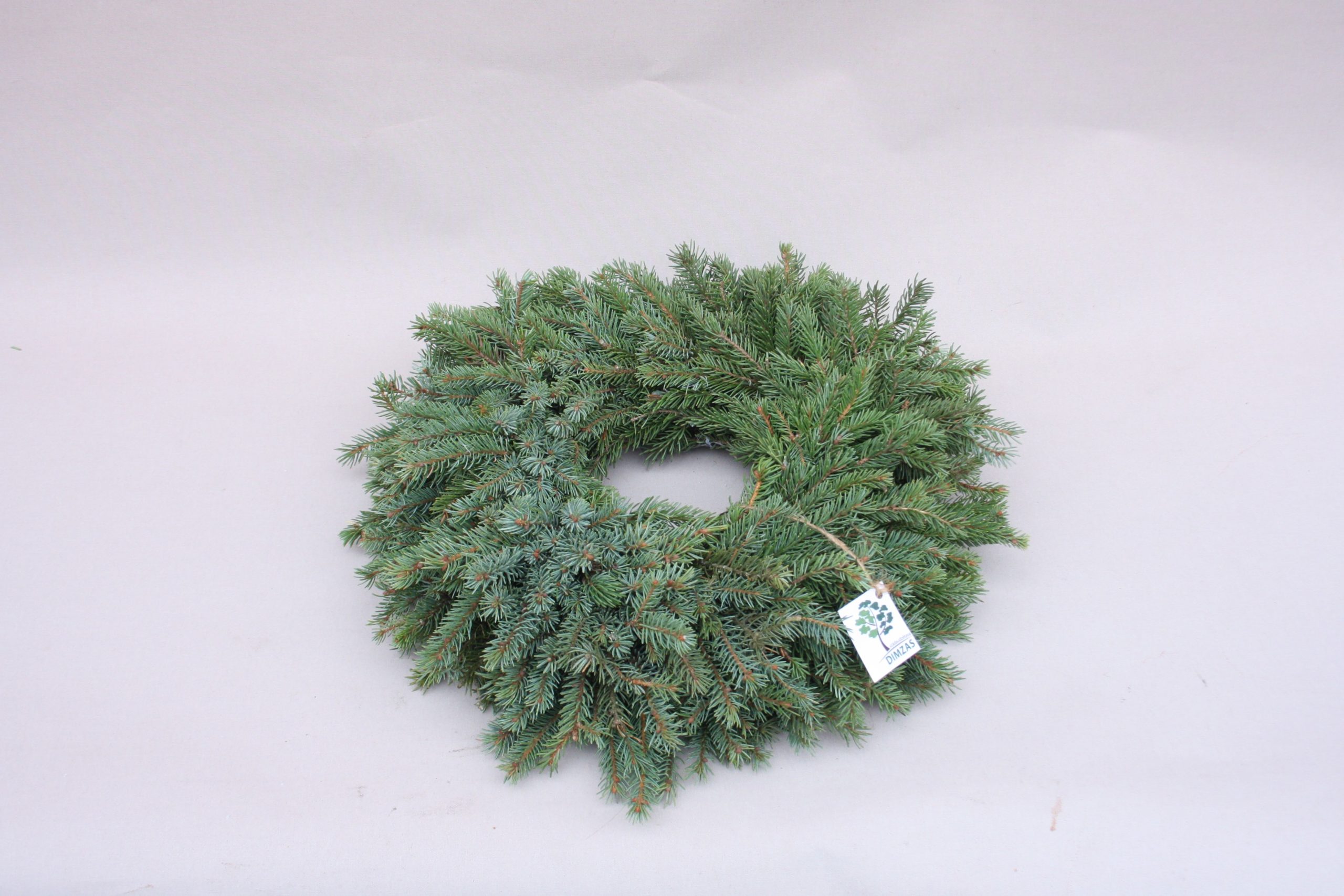 Skujkoku zaru vainaga sagatave, 30 cm - Image 9