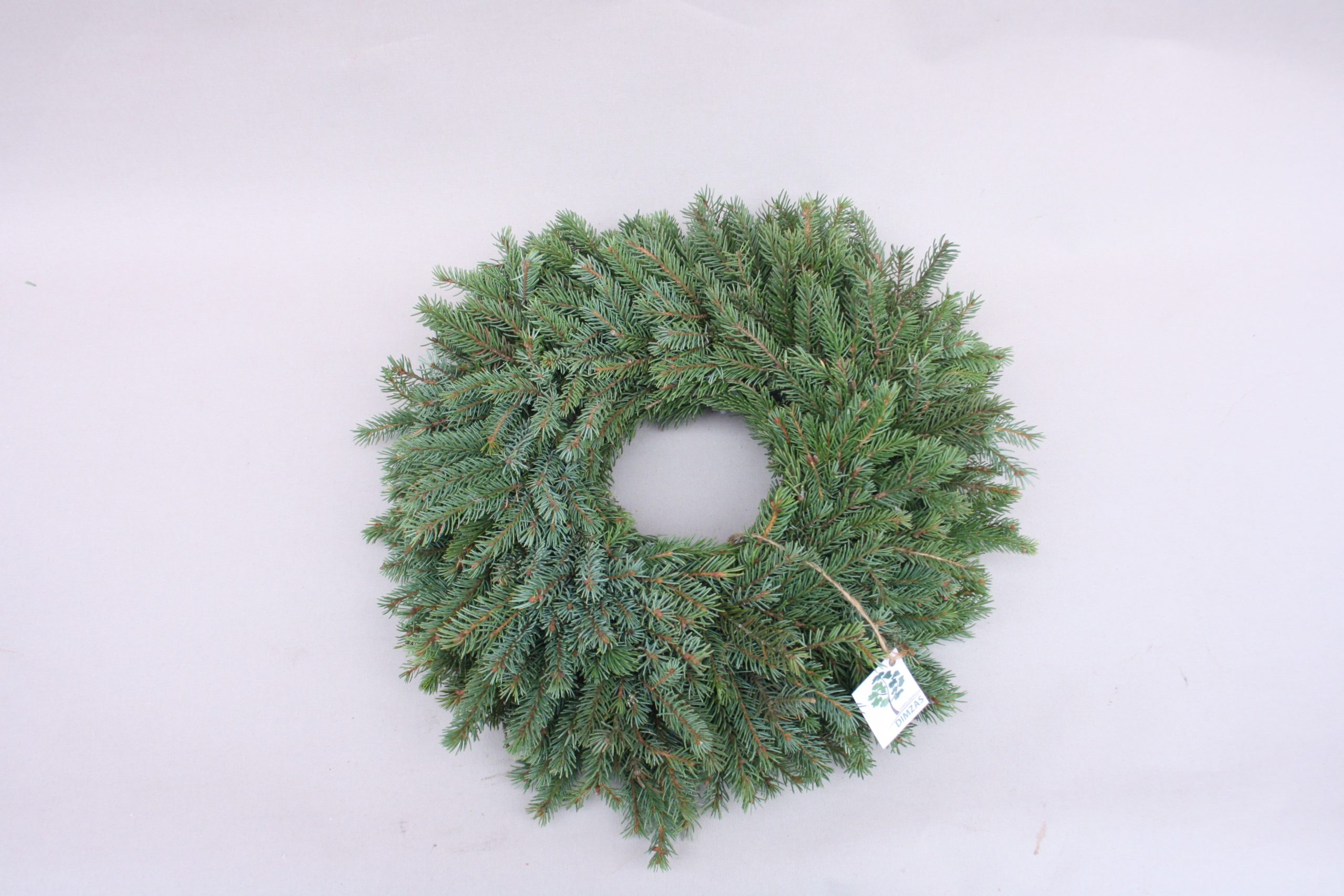 Skujkoku zaru vainaga sagatave, 30 cm - Image 8