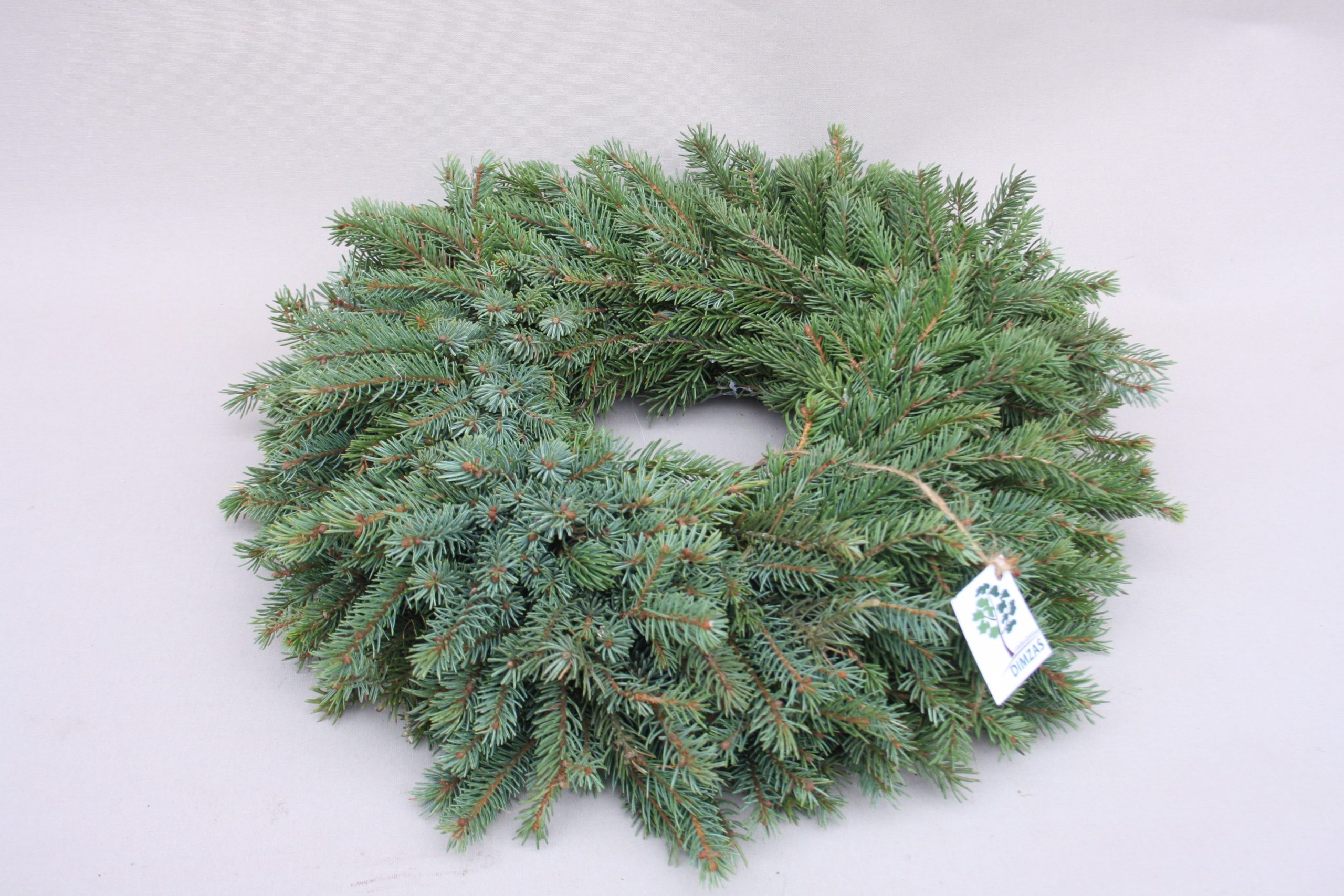 Skujkoku zaru vainaga sagatave, 30 cm - Image 7