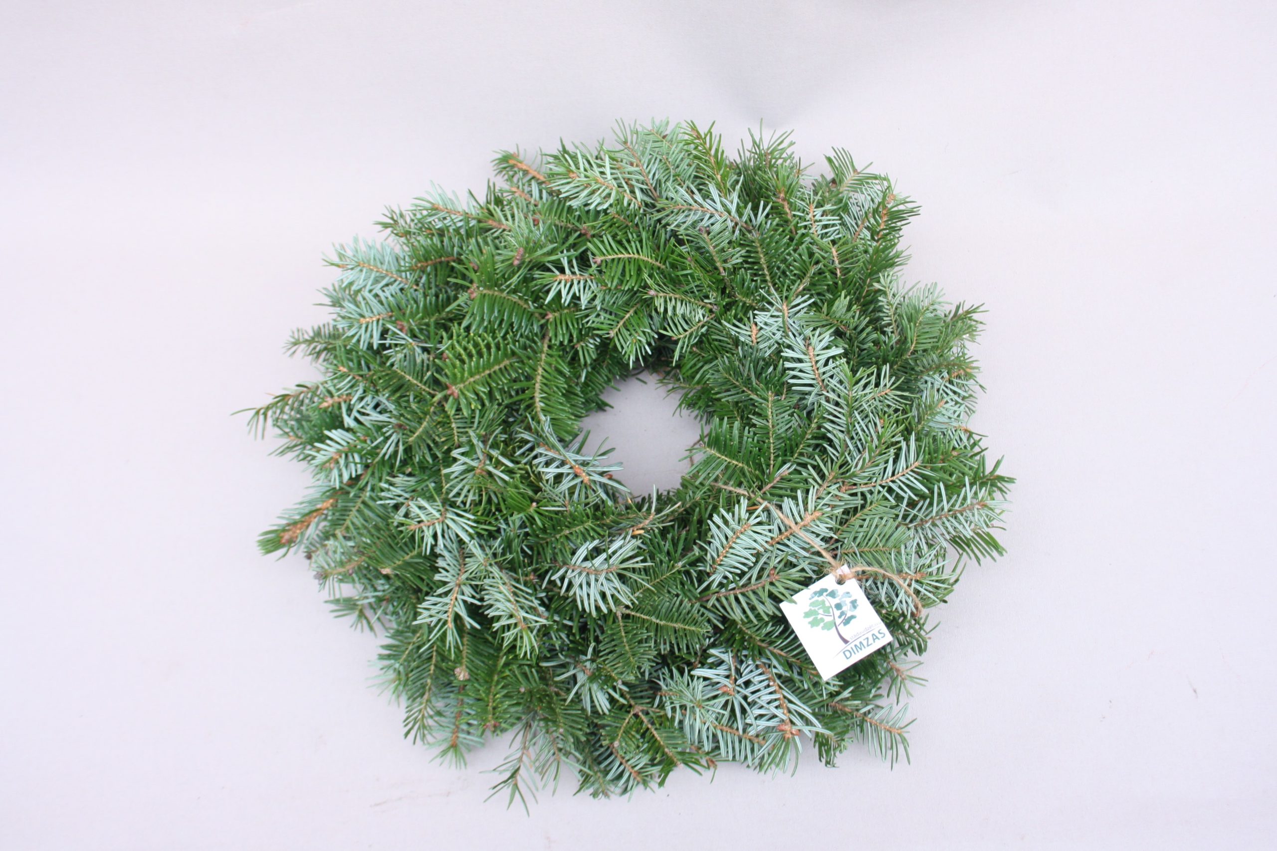 Skujkoku zaru vainaga sagatave, 30 cm - Image 6