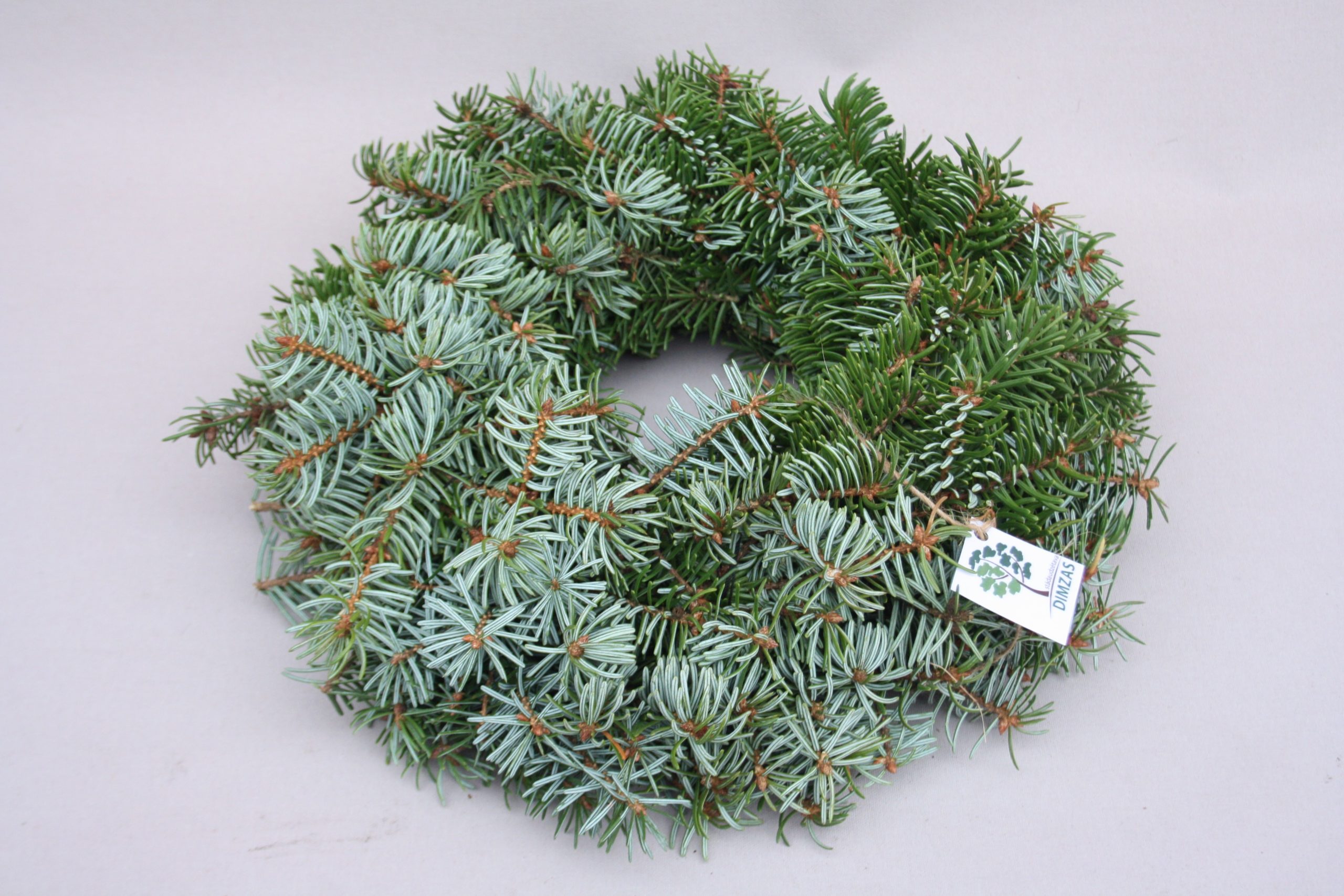 Skujkoku zaru vainaga sagatave, 30 cm - Image 5