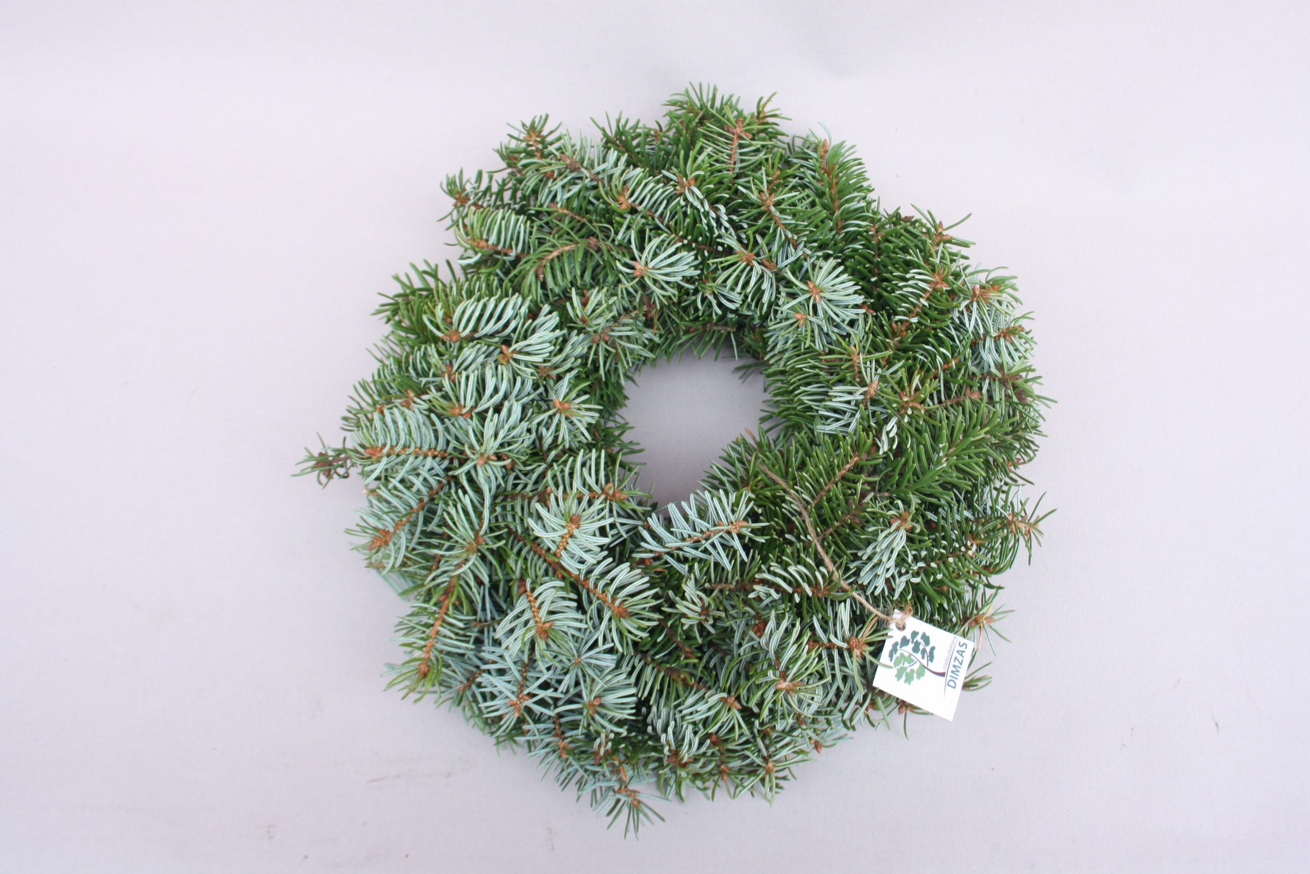 Skujkoku zaru vainaga sagatave, 30 cm - Image 4