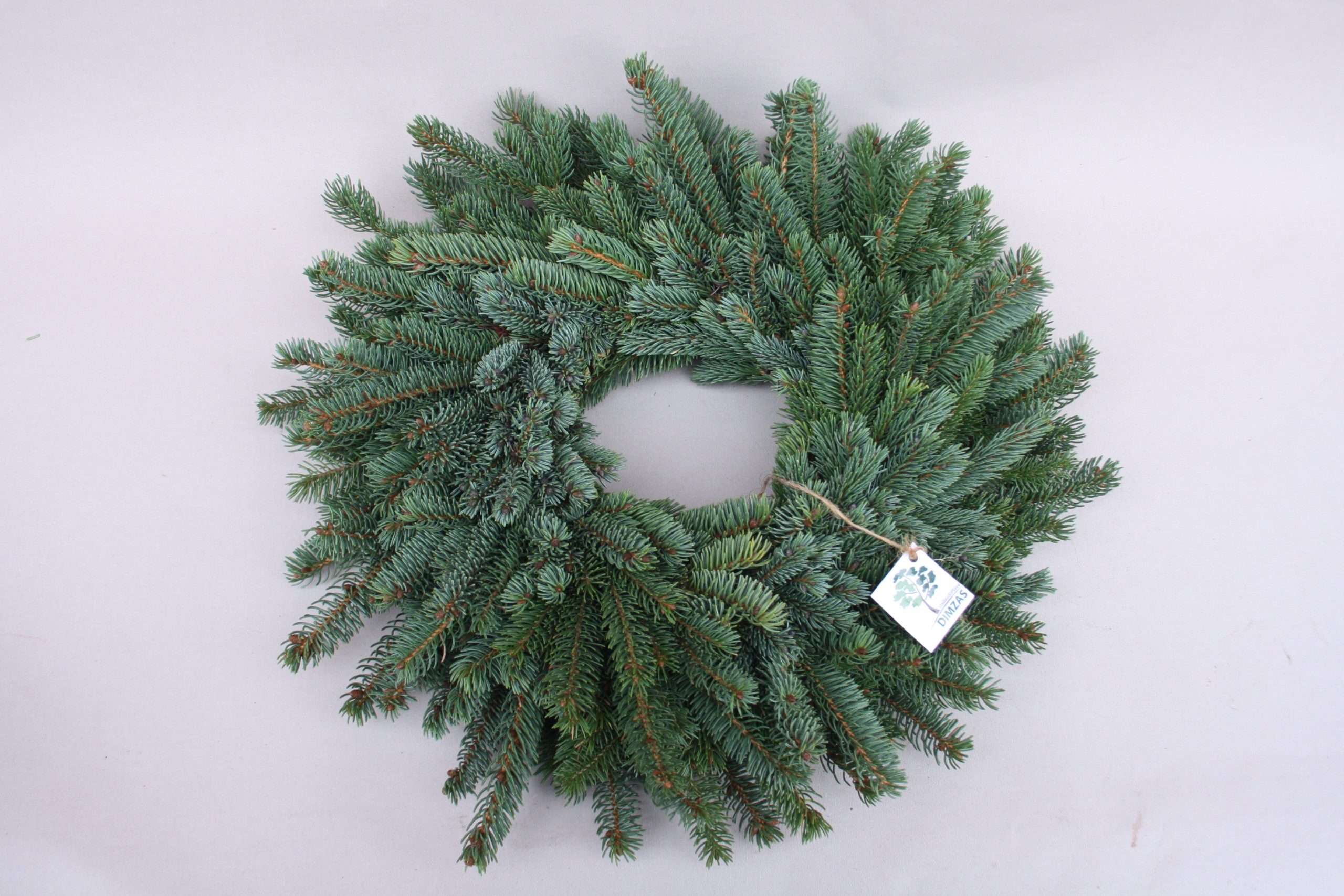 Skujkoku zaru vainaga sagatave, 30 cm - Image 3