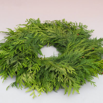 Pacipreses zaru vainaga sagatave, 30 cm