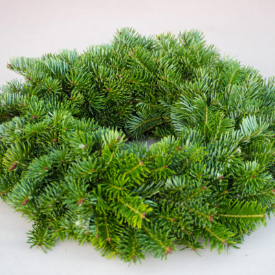 Baltegles zaru vainaga sagatave, D 80 cm