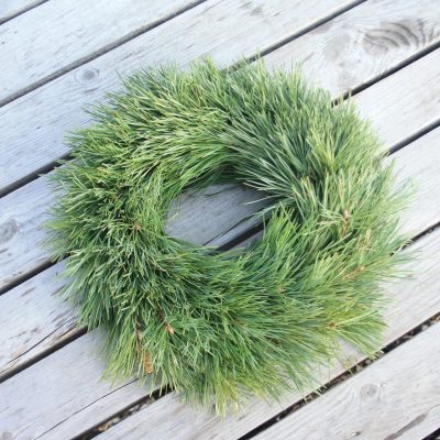 Priežu zaru vainaga sagatave, 30 cm