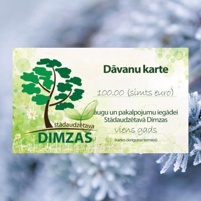 Dāvanu karte, 100 EUR