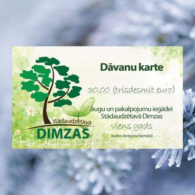 Dāvanu karte, 30 EUR
