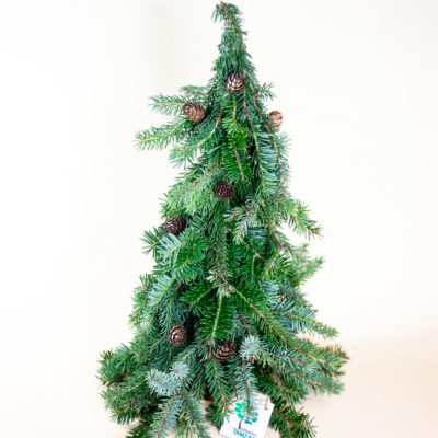 Stilizēta eglīte no baltegles un Serbijas egles zariem, 50-60 cm