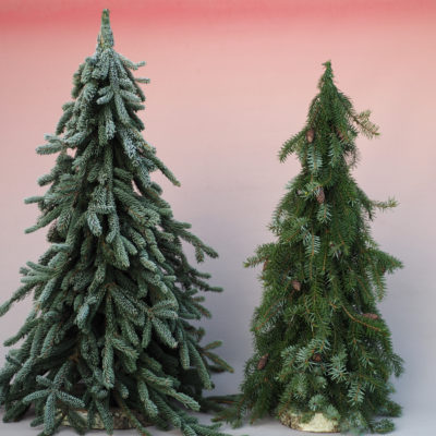 Stilizēta egle, 1 m