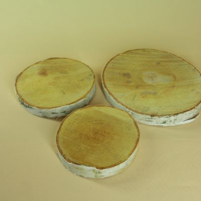 Koka ripa, bērzs, 7-9 cm