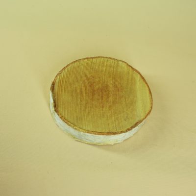 Koka ripa, bērzs, 13-15 cm