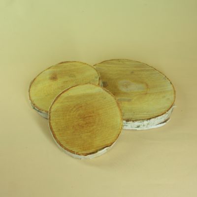 Koka ripa, bērzs, 10-12 cm