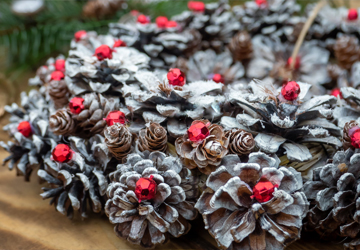 Floristika_360x250 Floristika, vainadziņš