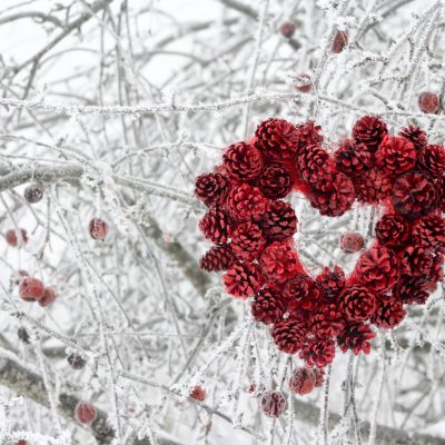 Sirds formas dekors no krāsotiem čiekuriem, sarkans