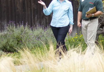 konsultacija_360x250 konsultacija