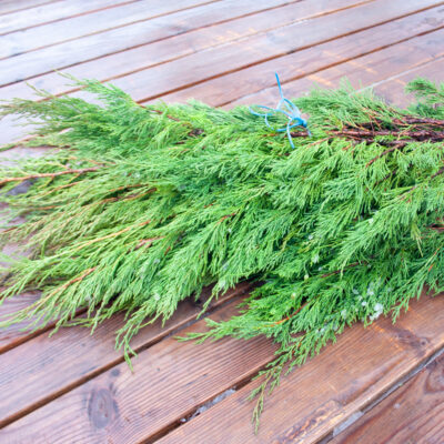 Kazaku kadiķa zaru paka, 50-60 cm