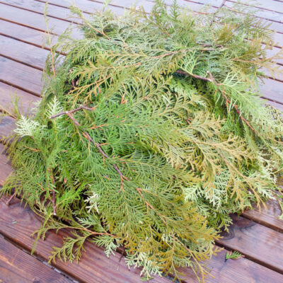 Tūjas zari, Mix., 1kg