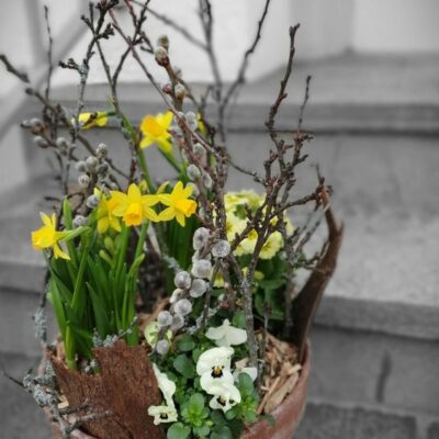 Lieldienu piedāvājums