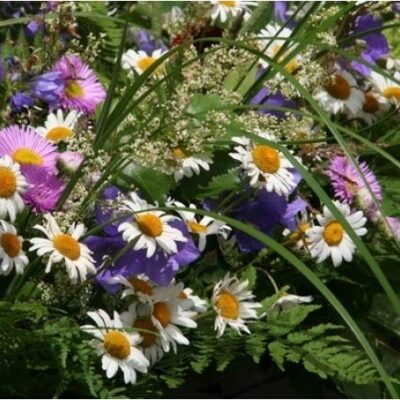 Līgo/Jāņu svētku pušķis, M izmērs