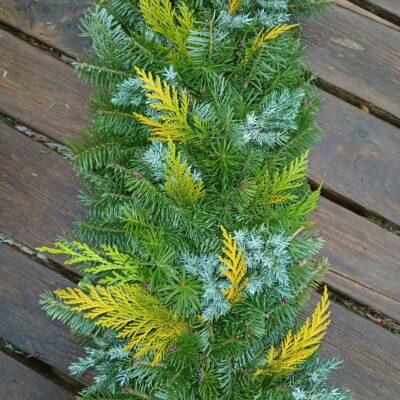 Jauktu materiālu vītne, skujkoku, vienpusēja, 1 m