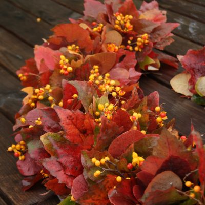 Jauktu materiālu vītne, lapu koku, sezonāla, 1 m