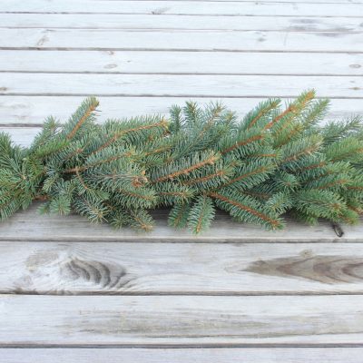 Asās egles zaru vītne, vienpusēja, 1 m