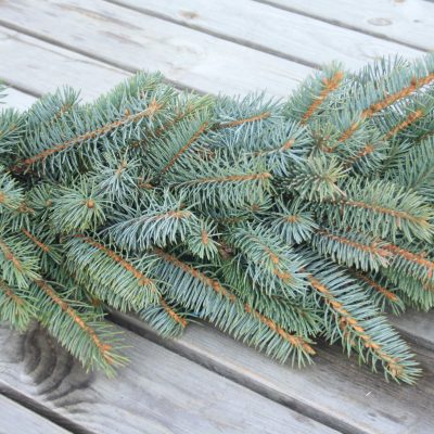 Asās egles zaru vītne, abpusēja, 1 m