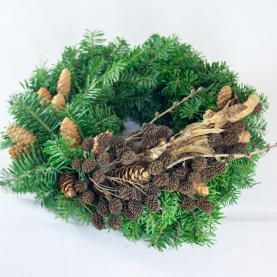 Adventes vainags, baltegle, alkšņu čiekuriņi un zelta lietus, D 25 cm