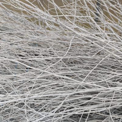 Krāsots zars, balts, 1 gab., 1.80-2.50 m