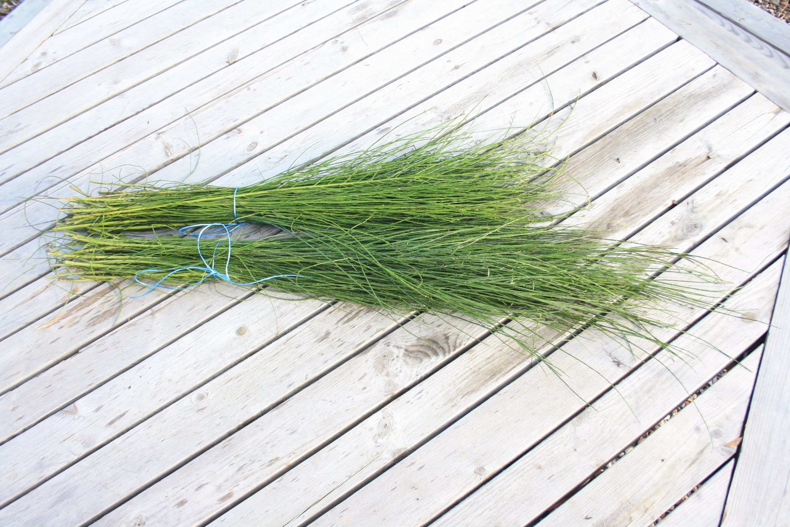 Slotzara zaru paka, 80-120 cm - Image 5