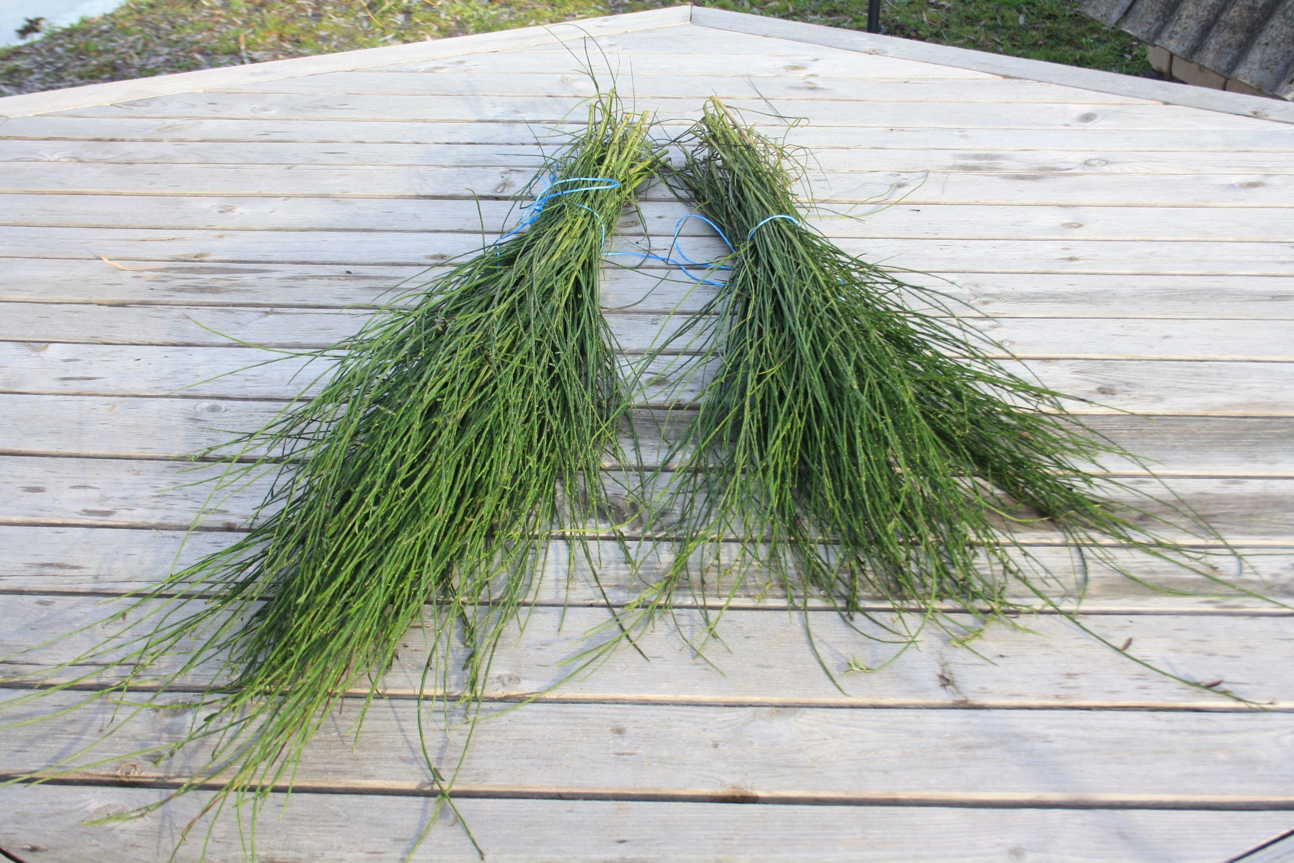 Slotzara zaru paka, 80-120 cm - Image 6