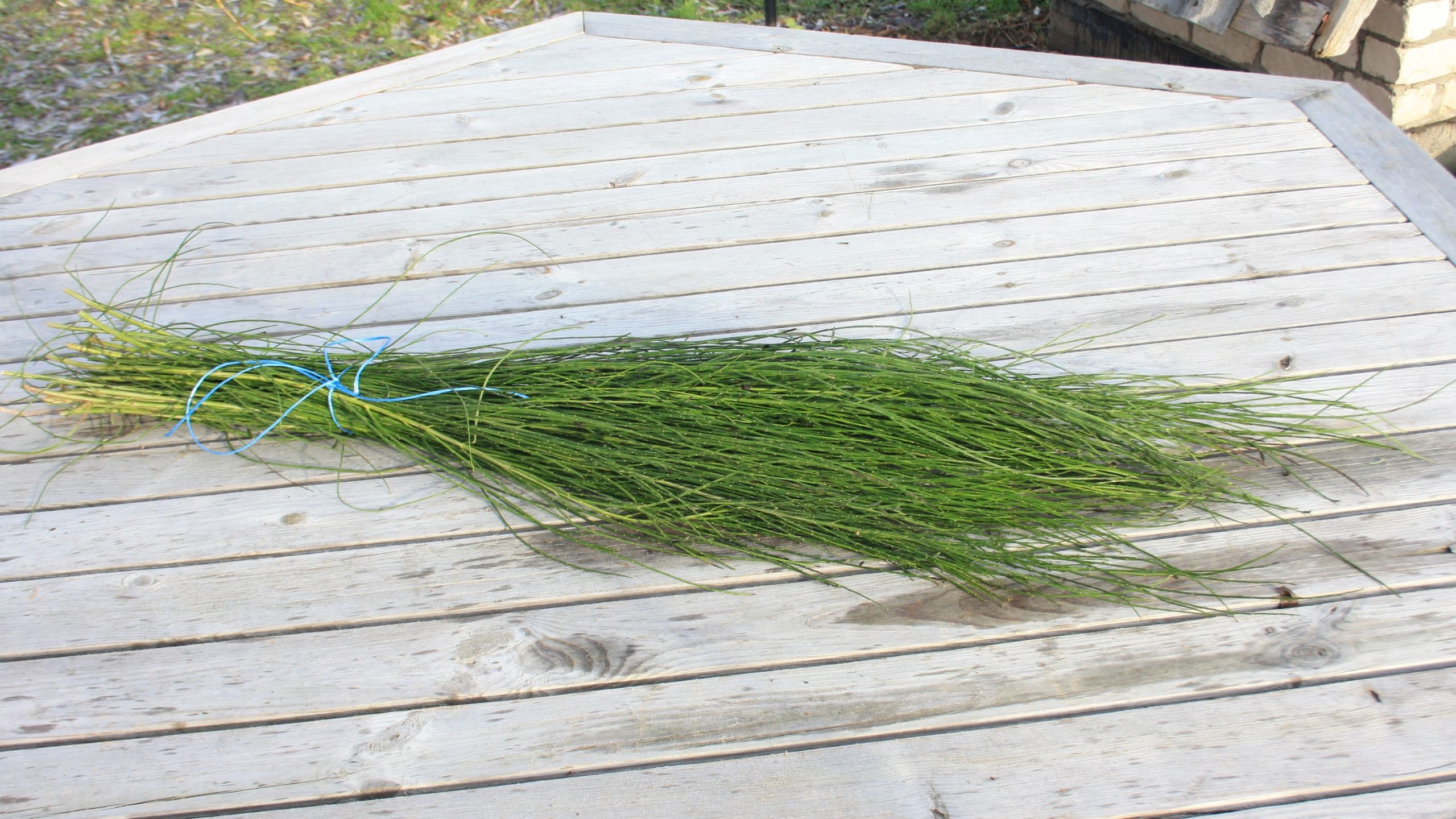 Slotzara zaru paka, 80-120 cm