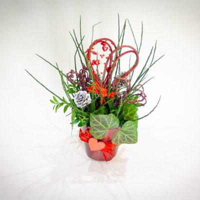 Kompozīcija 'Bella', 25 cm