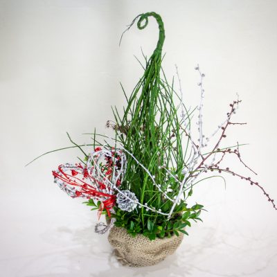 Kompozīcija 'Tīna', 42 cm