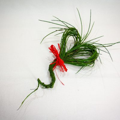 Sirds formas dekors no slotzaru zariem, dabīgs