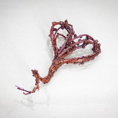 Sirds formas dekors no lapegļu zariem, dabīgs