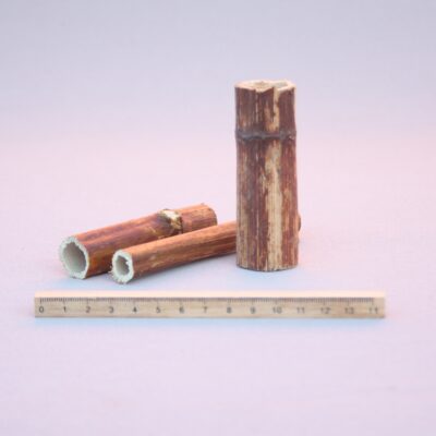 Sūrenes stobriņi 5-7 cm (10 gab.), dabīgi