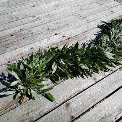 Baltā vītola zaru vītne, abpusēja, pieejama vasarā, 1 m