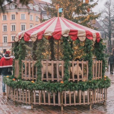 Priežu zaru vītne, abpusēja, šaurāka un vijīga, 1 m