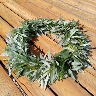 Baltā vītola vainaga sagatave, 40 cm diam.