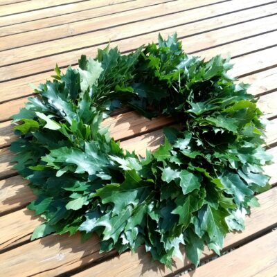 Līgo/Jāņu vainags, sarkanais ozols