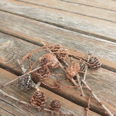 Lapegļu zariņi, Mix, ar čiekuriem,1L