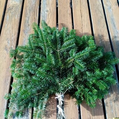 Garzvīņu baltegles zaru pirtsslota