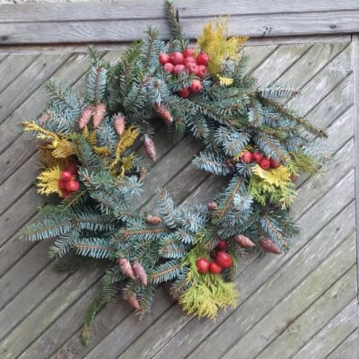 Serbijas egles durvju vainags uz klūgas, dekorēts ar Paradīzes ābolīšiem, D 40 cm